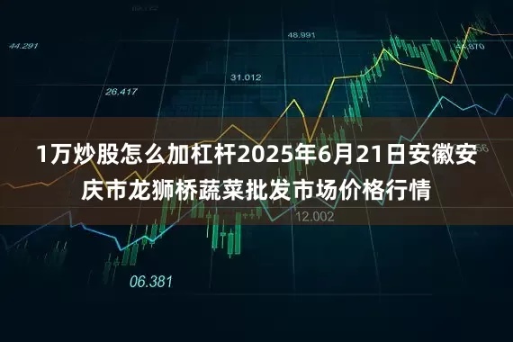 1万炒股怎么加杠杆2025年6月21日安徽安庆市龙狮桥蔬菜批发市场价格行情