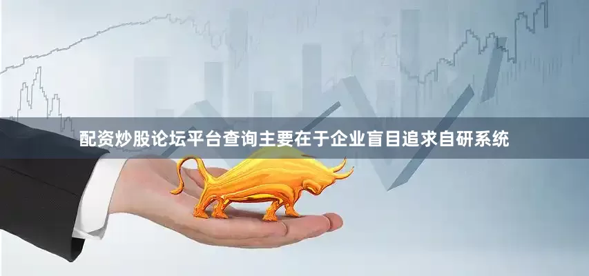 配资炒股论坛平台查询主要在于企业盲目追求自研系统