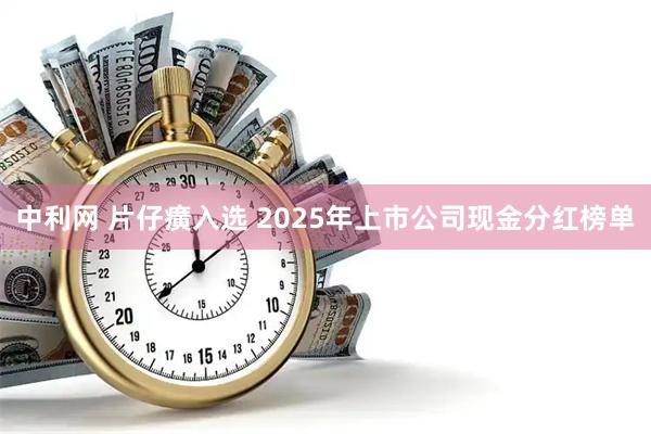 中利网 片仔癀入选 2025年上市公司现金分红榜单