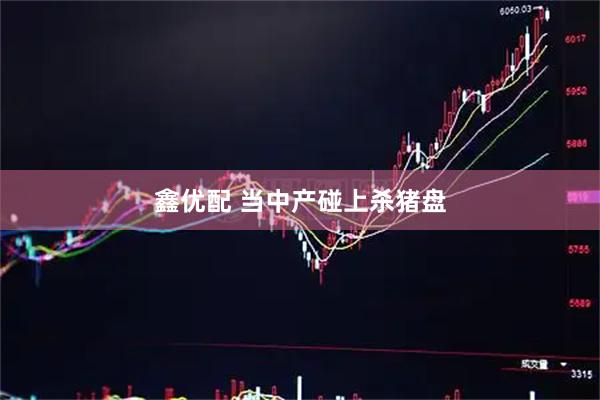 鑫优配 当中产碰上杀猪盘